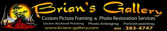 Brians Gallery oval frames
